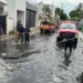 Alertan  a población de Ciudad Madero por presencia de cocodrilos tras las  lluvias