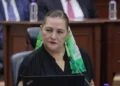 Guadalupe Taddei presentará mañana lunes a la Cámara de Diputados su renuncia al INE
