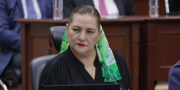 Guadalupe Taddei presentará mañana lunes a  la Cámara de Diputados su renuncia al INE