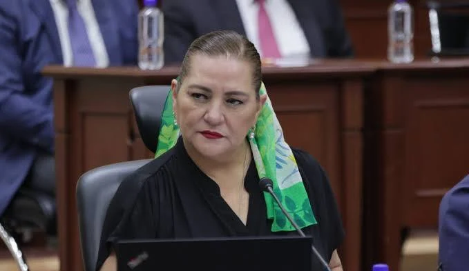 Guadalupe Taddei presentará mañana lunes a la Cámara de Diputados su renuncia al INE