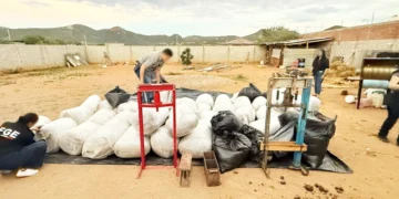 Enfrentamiento entre grupos criminales deja 2 muertos y un herido en Chihuahua; hallan 983 kilos de marihuana