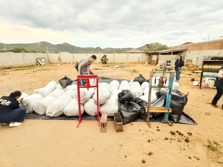 Enfrentamiento entre grupos criminales deja 2 muertos y un herido en Chihuahua; hallan 983 kilos de marihuana