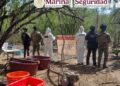 Marina, SSPC y FGR localizan en Sinaloa un laboratorio clandestino y aseguran 100 kilos de metanfetamina