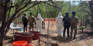 Marina, SSPC y FGR localizan en Sinaloa un laboratorio clandestino y aseguran 100 kilos de metanfetamina