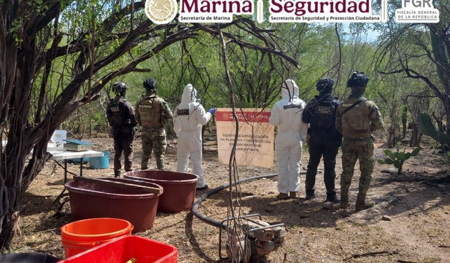 Marina, SSPC y FGR localizan en Sinaloa un laboratorio clandestino y aseguran 100 kilos de metanfetamina